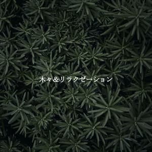 木々＆リラクゼーション - Musica Relajante Clásico