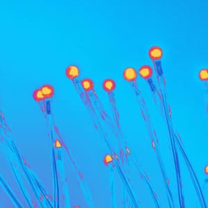 Stellar Music for Delightful Gifts - Jazz Quintet - Relaxing Piano Music Cool