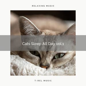 2022 Cats Sleep All Day vol.1 - Cat Music Experience