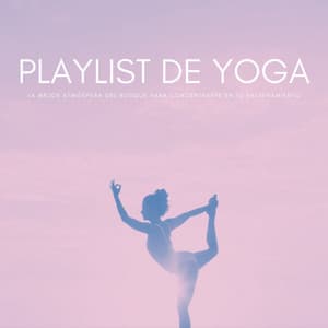 Playlist De Yoga: La Mejor Atmósfera Del Bosque Para Concentrarte En Tu Entrenamiento - Yoga & Meditación