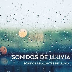 Sonidos Relajantes De Lluvia - Sonidos De Lluvia
