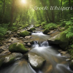 Brook Whispers: Water Symphony Relaxation - Universe of Nature Orchestra