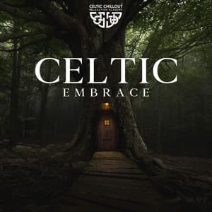 Celtic Embrace - Alys Coliere
