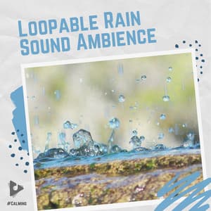 Loopable Rain Sound Ambience - #Calming