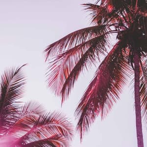 Backdrop for Right Vibes - Jazz-hop - Chill Hop Lofi Study Beats