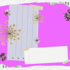 Jazz Organ and Bossa Guitar Trio - Trabajar desde Casa