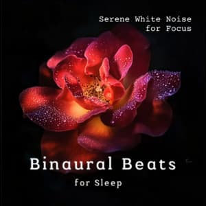 Serene White Noise - for Focus - Binaural Beats for Sleep