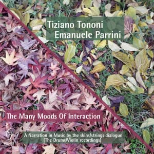 The Many Moods of Interaction - Tiziano Tononi