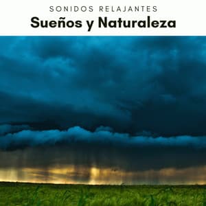 1 Sueños y Naturaleza - Sonidos De Truenos y Lluvia
