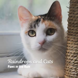 Raindrops and Cats: Paws in the Rain - Deep Sleep Rain & Thunder