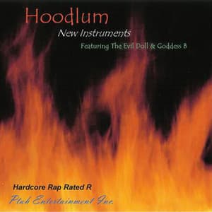 New Instruments - Hoodlum