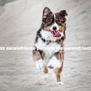 Jazz escalofriante para perros escalofriantes - Soft Jazz Moment