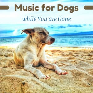 Music for Dogs while You are Gone - Dog Bedtime