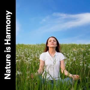 Nature Is Harmony - The Nature Soundscapes