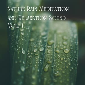 Meditative Rainfall: Nature's Relaxing Symphony - The Sound Of The Jungle
