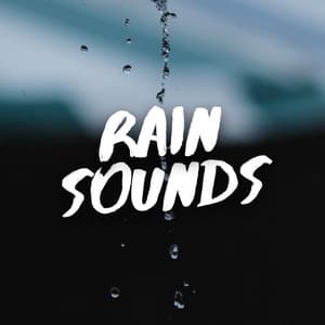 Rain Sounds - Nature Sounds