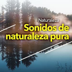 Sonidos de naturaleza pura - Naturaleza