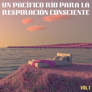 Un Pacífico Río Para La Respiración Consciente Vol. 1 - Paisajes sonoros de roca de agua