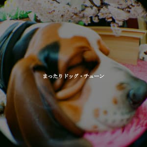 まったりドッグ・チューン - Jazz Relajante