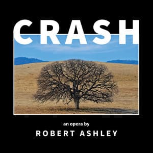 Crash - Robert Ashley