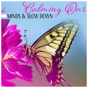 Calming Our Minds & Slow Down - Regeneration Sound Therapy, Stress Relief, Free Spirit, Feel Better, Sleep in Peace - Hypnosis Music Collection