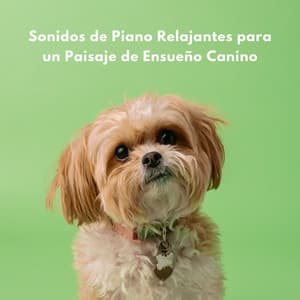 Sonidos De Piano Relajantes Para Un Paisaje De Ensueño Canino - Música de piano para conciliar el sueño más rápido