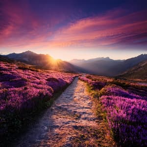 Espacios Serenos: Música Para Relajarse - Muestras fuera de HD