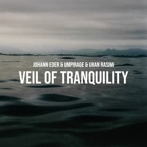 Veil of Tranquility - Johann Eder