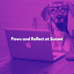 Paws and Reflect at Sunset - Happy Dinner Music