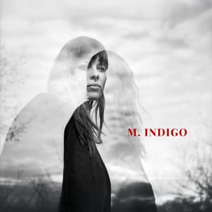 Quantum Shedding - M. Indigo