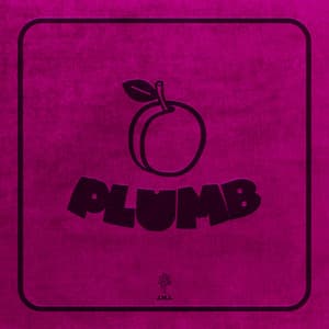 Plumb - David Murray