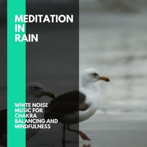 Meditation In Rain - White Noise Music for Chakra Balancing and Mindfulness - Incredible Oceans