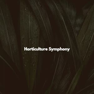 Horticulture Symphony - Instrumental Cafe Jazz Radio