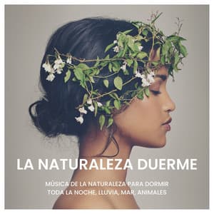 La Naturaleza Duerme: Música de la Naturaleza para Dormir toda la Noche, Lluvia, Mar, Animales - Sueño Real