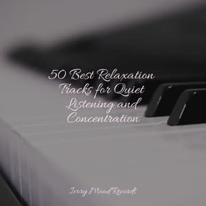 50 Best Relaxation Tracks for Quiet Listening and Concentration - Ivory Mood
