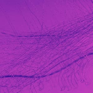 Backdrop for Chill Favorites - Bossa Guitar Trio with Jazz Organ - Soft Jazz Playlist