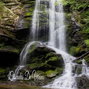 Cascadas De Verano - Academia de Música con Sonidos de la Naturaleza