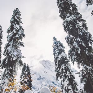 Sueño de Invierno - Música De Relajación Para Dormir Profundamente