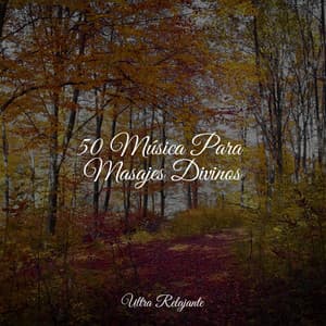 50 Música Para Masajes Divinos - Escola de Meditação
