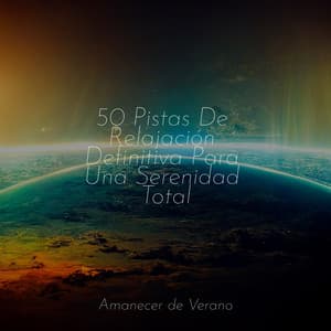 50 Pistas De Relajación Definitiva Para Una Serenidad Total - Musica de Piano Escuela