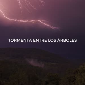 Tormenta Entre Los Árboles - Sonidos de tormenta de lluvia