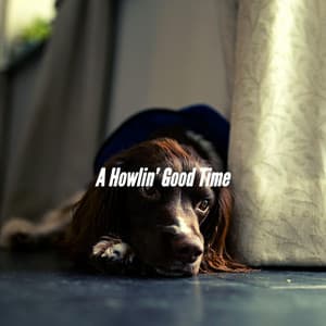 A Howlin’ Good Time - Dog Chill Out Music