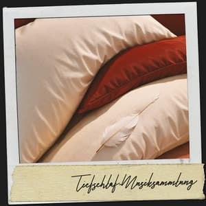 Spa-Schlafmusik: Melodien für ruhige Nächte - Cat Music Therapy