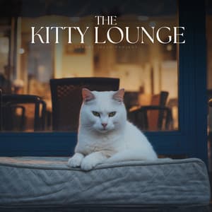 The Kitty Lounge - Reiki for Animals