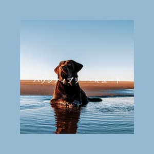 パウジティブリー・キュート - Bossa Cafe Deluxe