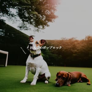 わんこのポップロック - Popular Classic Bossa Nova