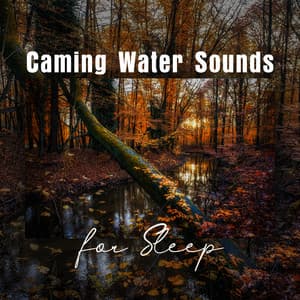 Caming Water Sounds for Sleep - Deep Sleep Universe