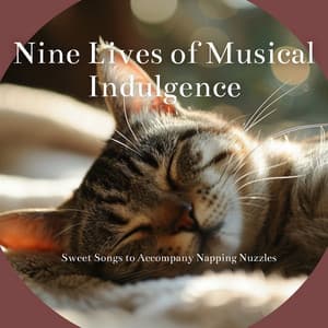 Nine Lives of Musical Indulgence: Harmonies for the Purrfect Life - Cat & Calm