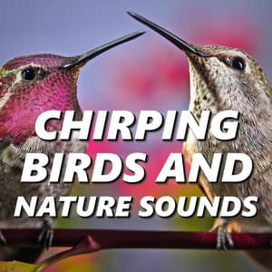 Chirping Birds & Nature Sounds - Nature And Bird Sounds