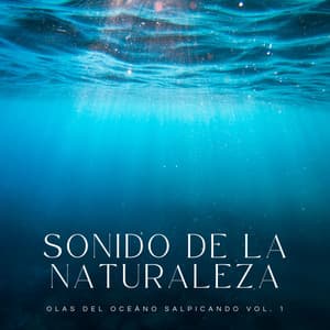 Sonido De La Naturaleza: Olas Del Oceáno Salpicando Vol. 1 - Sonidos De Oceano